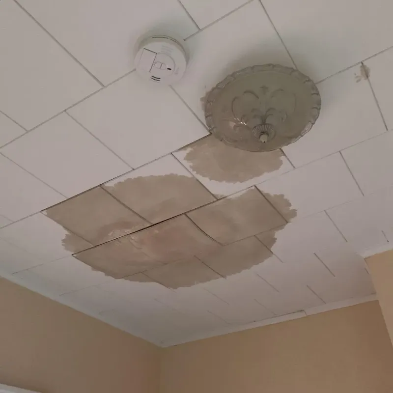 Ceiling Water Damage Repair in Silver Lake, WI