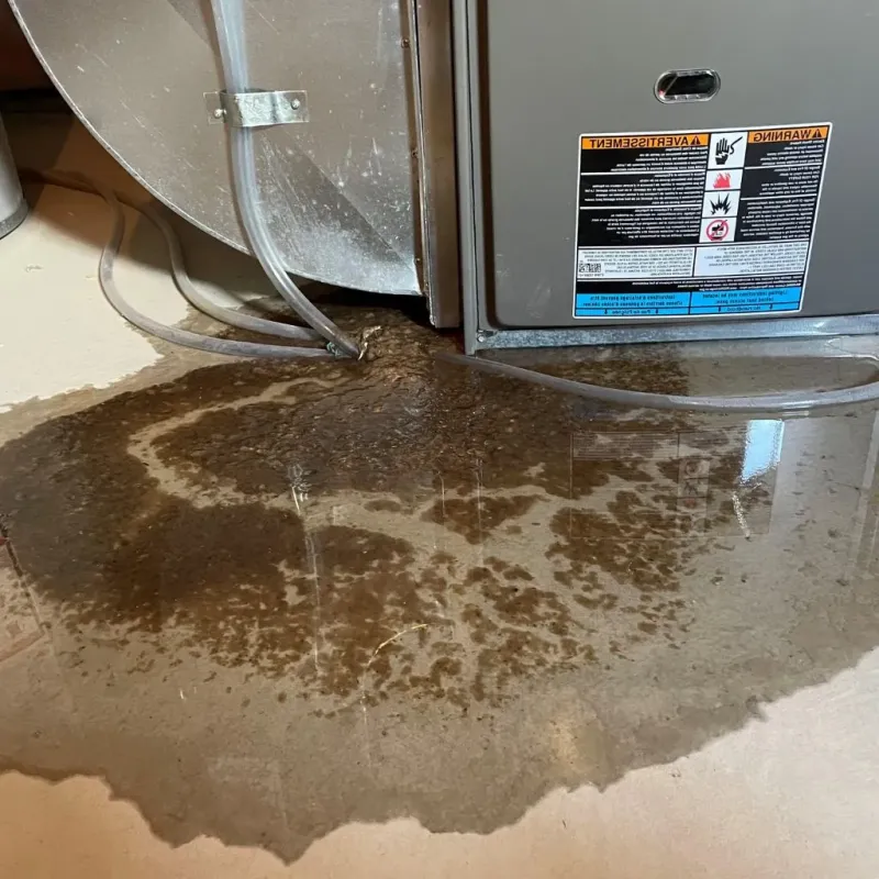 Pipe Burst and Leak Restoration in Silver Lake, WI