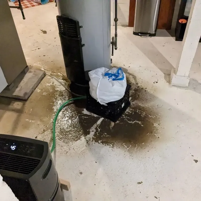 Sewage Backup Cleanup Service in Silver Lake, WI